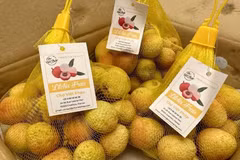 Le litchi Thanh Ha sont vendus dans des supermarchés en France. Photo: VNA