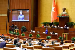 La gouverneure de la Banque d'État du Vietnam, Nguyen Thi Hong, répond aux questions des députés, le 11 novembre. Photo: VNA