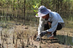 Journée mondiale de l'environnement : protection et développement durable