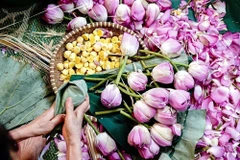 Le thé parfumé au lotus, une quintessence des Hanoïens