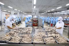 Renforcement de la coopération intégrale Vietnam-États-Unis