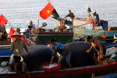7e cycle de négociations sur la délimitation de la ZEE Vietnam-Indonésie
