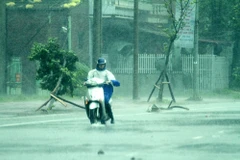 Les pluies continuent de s'abattre au Nord 