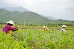 ASEM : le Vietnam promeut les Objectifs de Développement durable