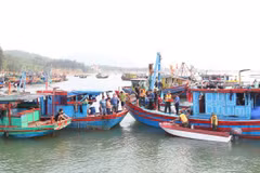 La province de Ha Tinh combat résolument la pêche INN 