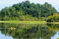 Forum "Des forêts saines pour des populations en bonne santé" à Hanoï