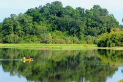 Forum "Des forêts saines pour des populations en bonne santé" à Hanoï