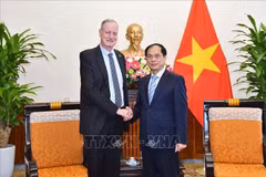 Le ministre des Affaires étrangères Bui Thanh Son reçoit l'ambassadeur d'Israël