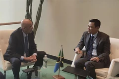 Promouvoir les relations entre le Vietnam et la Tanzanie