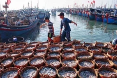 INN : Tien Giang suit les recommandations sur la prévention de la pêche illégale