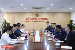 Vietnam et Singapour promeuvent leur coopération dans le domaine de l'énergie