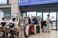 Consultation sur les programmes de coopération dans la migration de main-d'oeuvre au Vietnam