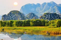 Conservation et utilisation durables des zones humides au Vietnam
