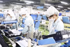 Porter la coopération entre le Vietnam et les Pays-Bas à une nouvelle hauteur