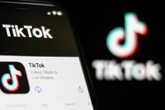Inspection complète des activités de TikTok au Vietnam
