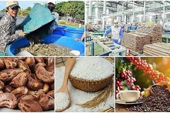 Diminution des exportations de produits agricoles, sylvicoles et aquatiques en cinq mois