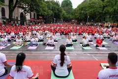 Plus de 1.000 personnes célèbrent la Journée internationale du yoga à Hanoï