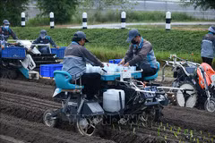 La Thaïlande s'efforce d'innover le secteur agricole