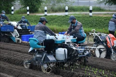 La Thaïlande s'efforce d'innover le secteur agricole