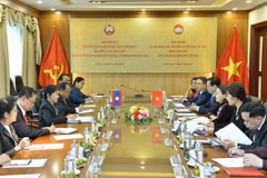 Renforcement de la coopération entre les deux organisations de Front du Vietnam et du Laos 