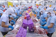 La BAD prévoit une croissance économique du Vietnam de 6% en 2024