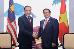 Rendre les relations entre le Vietnam et la Malaisie plus substantielles et plus efficace
