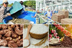 Le secteur agricole affiche un excédent commercial de 4,63 milliards de dollars