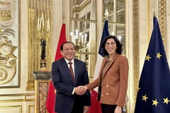 Coopération culturelle - un point lumineux reliant l'amitié Vietnam-France