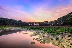 Deux autres sites touristiques typiques du delta du Mékong reconnus