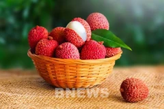 Le litchi vietnamien accède aux marchés internationaux par voie aérienne