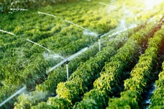 Sciences et technologies contribuent à l'augmentation de la productivité agricole