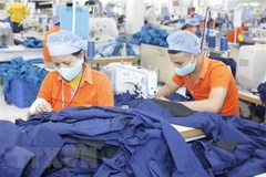 Le Chili devient le principal marché du Vietnam en Amérique latine