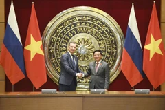 Renforcement de la coopération substantielle et efficace entre les députés Vietnam-Russie