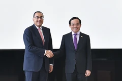 Le vice-PM Tran Luu Quang s'entretient avec le Premier ministre égyptien