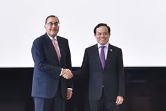 Le vice-PM Tran Luu Quang s'entretient avec le Premier ministre égyptien