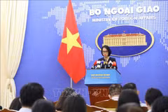 Glissement de terrain: des mesures de protection des citoyens prêtes à aider les Vietnamiens au Laos