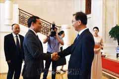 Le vice-PM Tran Luu Quang reçoit le secrétaire du Comité provincial du Parti du Yunnan