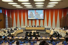 Le Vietnam participe à la célébration de la Journée internationale de la Terre nourricière