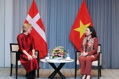 La vice-présidente Vo Thi Anh Xuan rencontre la présidente de l'Association d'amitié Danemark-Vietnam