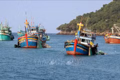 Tra Vinh redouble d’efforts pour lutter contre la pêche INN