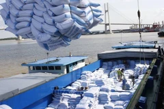Les exportations du riz du Vietnam connaissent des conditions favorables