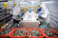 Des investissements publics pour promouvoir la croissance à long terme du Vietnam