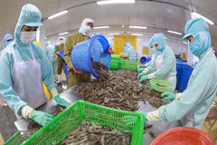 Les exportations de produits agricoles, sylvicoles et aquacoles rapportent 43 milliards de dollars depuis janvier