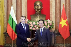 Le président Vo Van Thuong reçoit de nouveaux ambassadeurs 