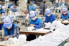 Publication d'un rapport sur l'évaluation des 500 plus grandes entreprises privées vietnamiennes