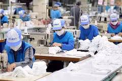 Publication d'un rapport sur l'évaluation des 500 plus grandes entreprises privées vietnamiennes