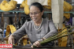 Développement d’une chaîne de valeur durable des produits en soie de lotus