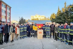 Le Vietnam offre deux tonnes de matériel médical à la Turquie