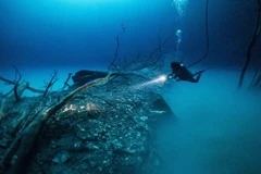 Internet au Vietnam affecté par des perturbations de cinq câbles sous-marins