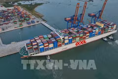 Le volume du fret via les ports maritimes du Vietnam rebondit en 10 mois